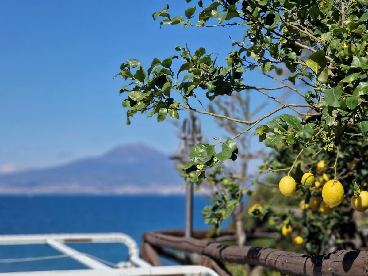 Апартаменты Vico Di Mare Вико-Экуенсе Экстерьер фото